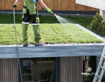 Telhados verdes: como eles ajudam a reduzir a temperatura da casa?
