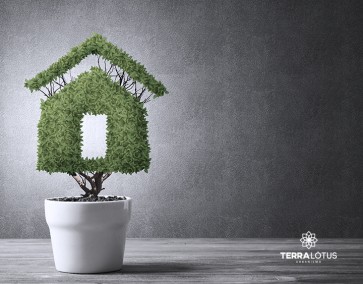 Seu lar pode ser um aliado do meio ambiente: veja como!