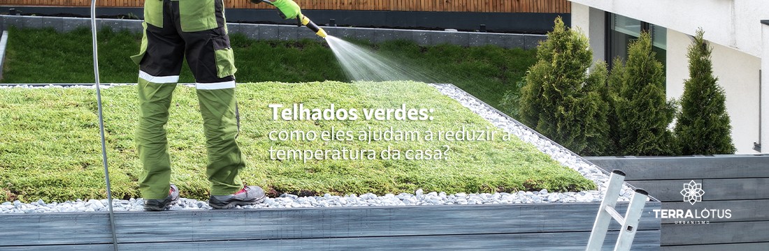 Telhados verdes: como eles ajudam a reduzir a temperatura da casa?