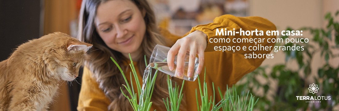 Mini-horta em casa: como começar com pouco espaço e colher grandes sabores
