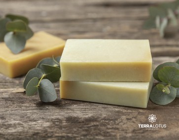 Sabão caseiro ou ecoponto: pequenas atitudes sustentáveis que começam em casa