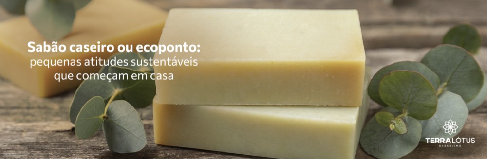 Sabão caseiro ou ecoponto: pequenas atitudes sustentáveis que começam em casa